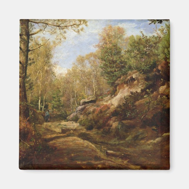 Pines & Birch Trees or The Forest of Magnet (Front)