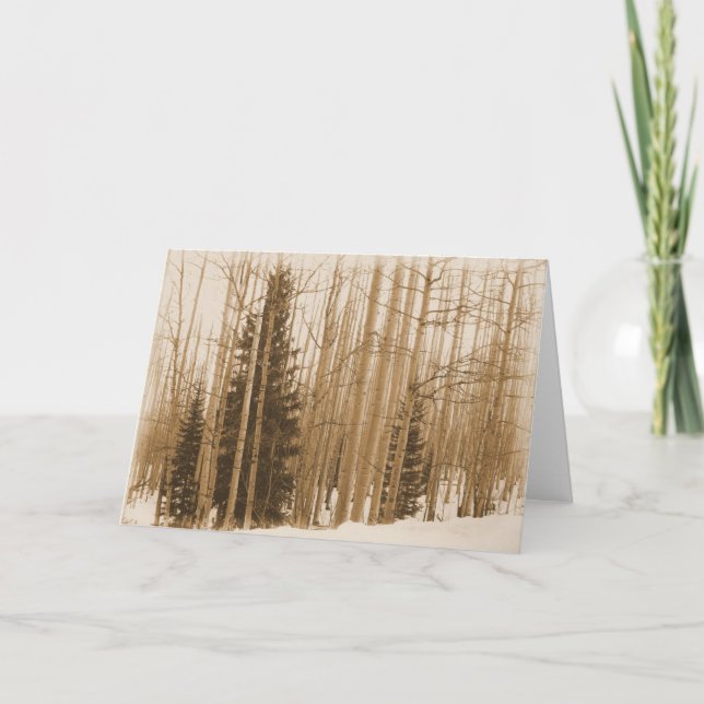 Pines in the Mix - Blank Inside Greeting Card (Front)