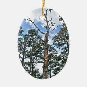 Pines on Beach Nature Trail OBX NC Ceramic Tree Decoration