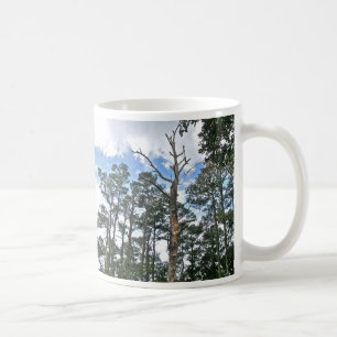 Pines on Beach Nature Trail OBX NC Coffee Mug