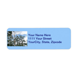 Pines on Beach Nature Trail OBX NC Return Address Label