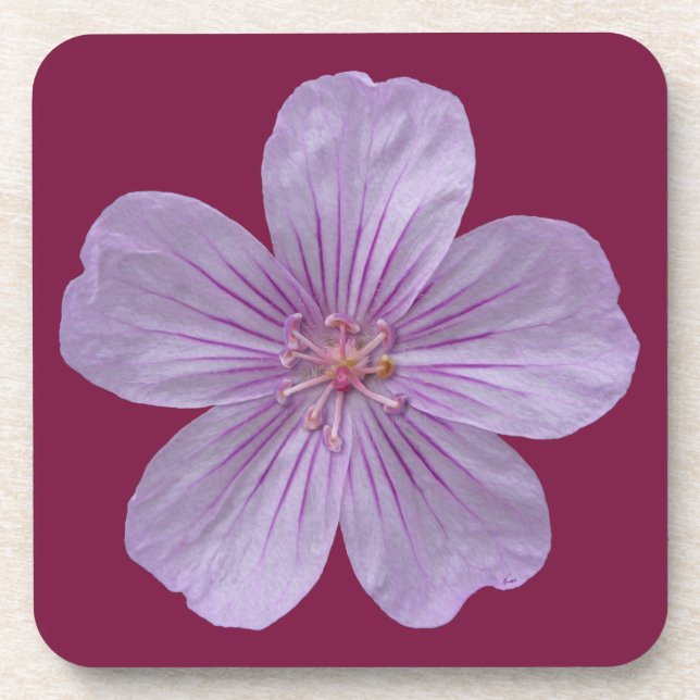 Pineywoods Geranium #1 Coaster (Front)
