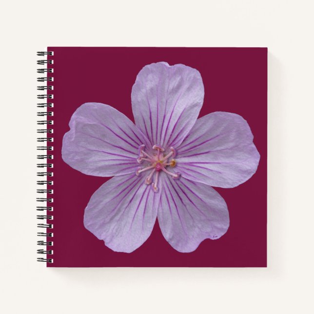 Pineywoods Geranium #1 Notebook (Front)