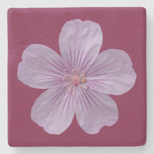 Pineywoods Geranium #1 Stone Coaster