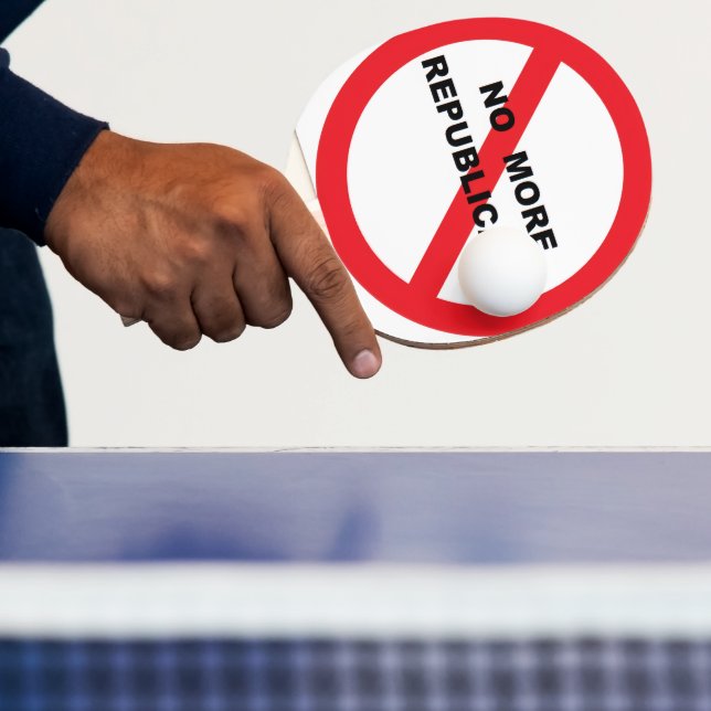 Ping Pong Paddle (Insitu)