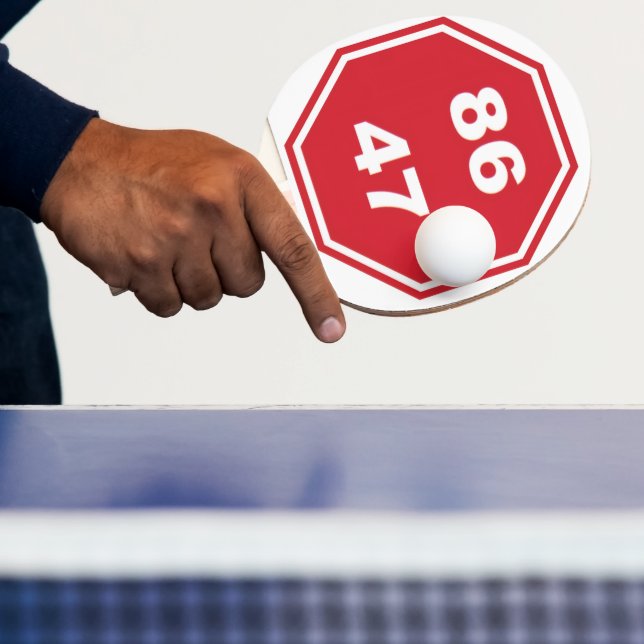 Ping Pong Paddle (Insitu)