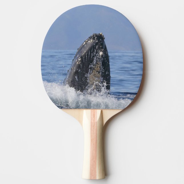 Ping pong paddle featuring whales (Front)