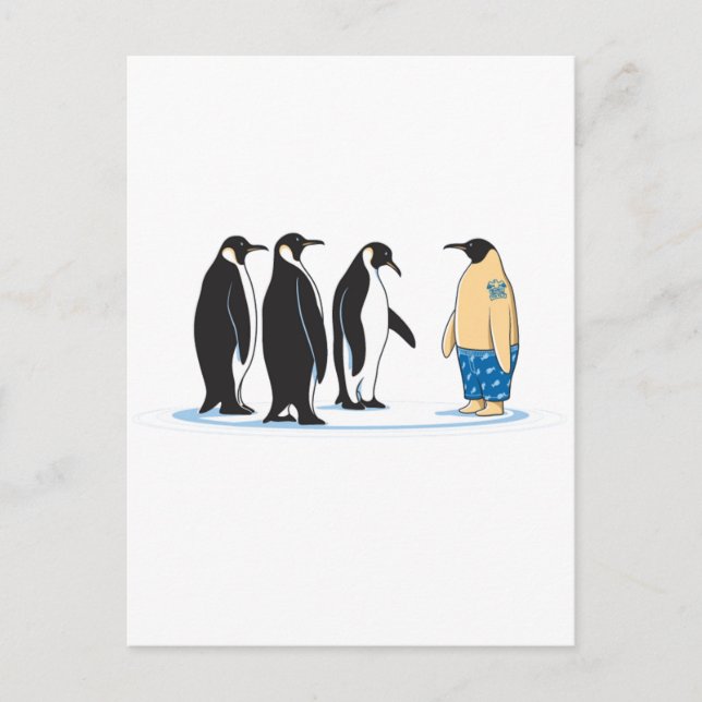Pinguim Postcard (Front)
