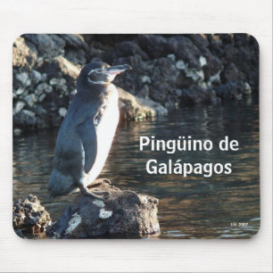 Pinguino de Galapagos Mouse Pad