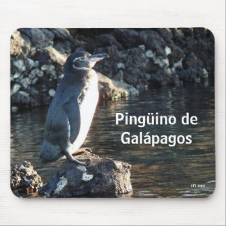 Pinguino de Galapagos Mouse Pad