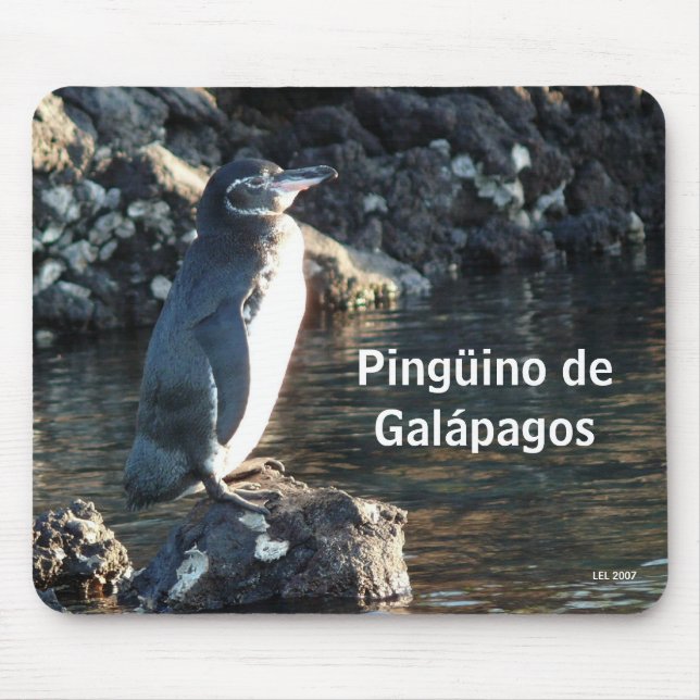 Pinguino de Galapagos Mouse Pad (Front)