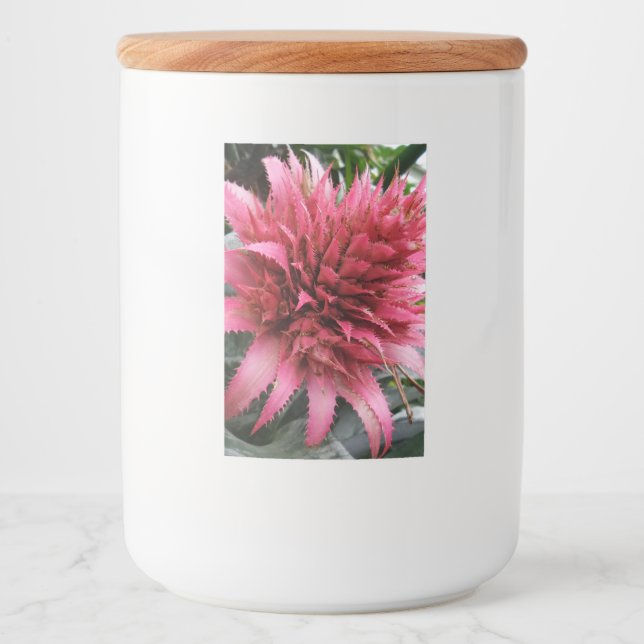 Pink Aechmea Flower Food Container Label (Front)