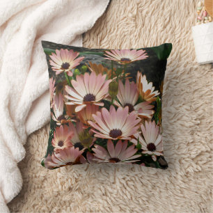 Pink African Daisy Flowers Cushion