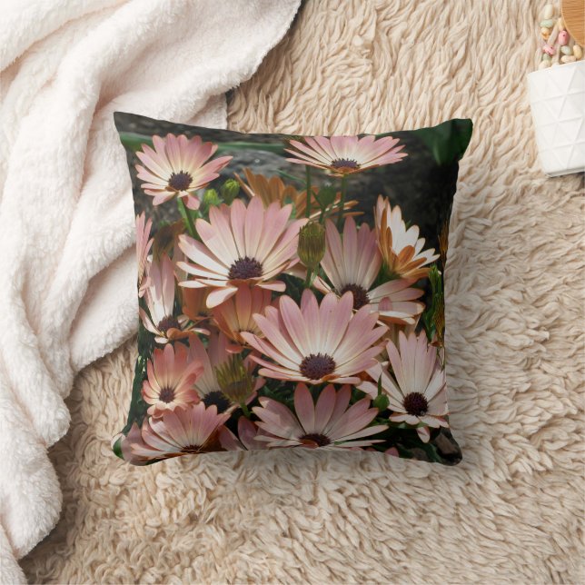 Pink African Daisy Flowers  Cushion (Blanket)