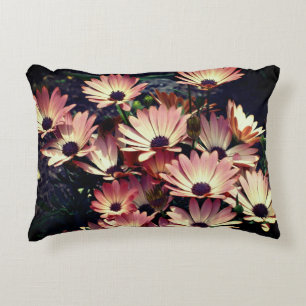 Pink African Daisy Flowers  Decorative Cushion