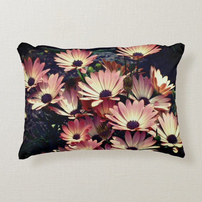 Pink African Daisy Flowers  Decorative Cushion (Front)