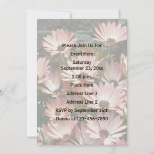 Pink African Daisy Flowers Party Invitation
