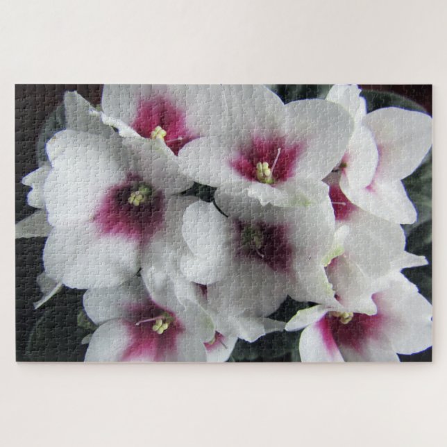 pink african violet flowers puzzle  (Horizontal)