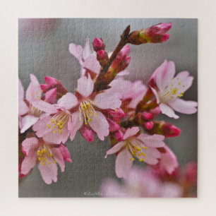 Pink Against A Gray Sky Japanese Cherry Blossoms Jigsaw Puzzle