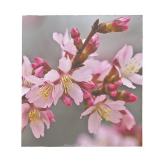 Pink Against A Gray Sky Japanese Cherry Blossoms Notepad