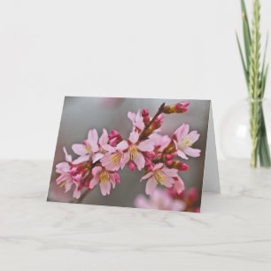 Pink Against A Grey Sky Japanese Cherry Blossoms Card