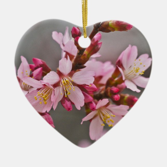 Pink Against A Grey Sky Japanese Cherry Blossoms Ceramic Tree Decoration (Front)