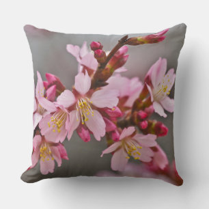 Pink Against A Grey Sky Japanese Cherry Blossoms Cushion