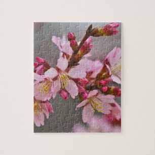 Pink Against A Grey Sky Japanese Cherry Blossoms Jigsaw Puzzle