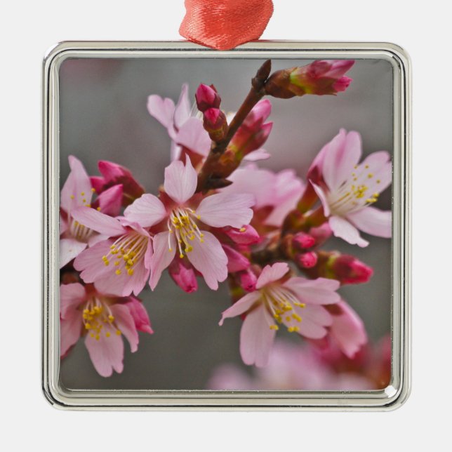 Pink Against A Grey Sky Japanese Cherry Blossoms Metal Tree Decoration (Front)