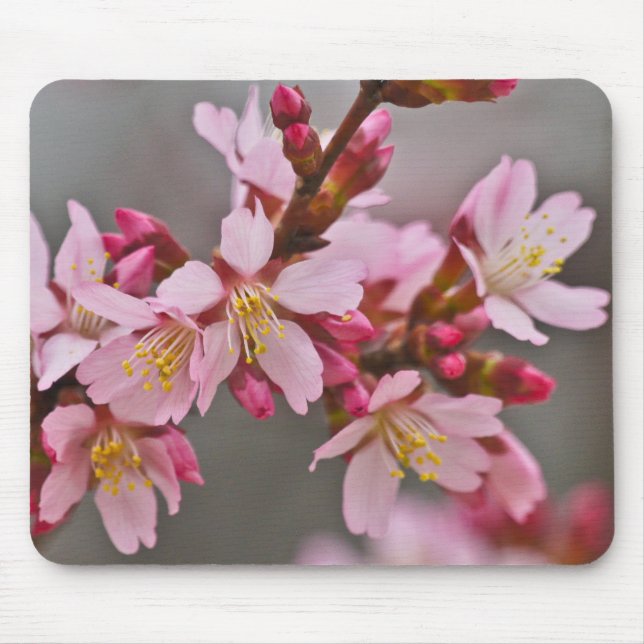 Pink Against A Grey Sky Japanese Cherry Blossoms Mouse Pad (Front)