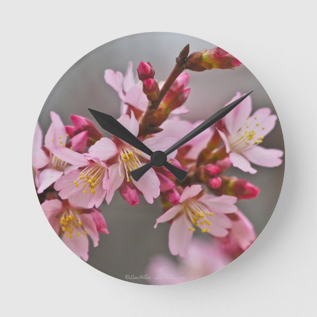 Pink Against A Grey Sky Japanese Cherry Blossoms Round Clock (Front)