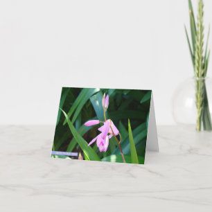 Pink Against Green Card