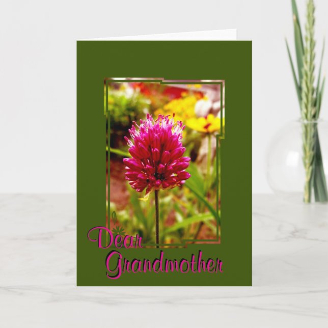 Pink Allium Greeting Card 002 (Front)