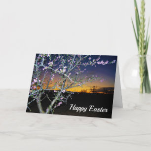 Pink Almond Blossom at Sunset, Happy Easter Card
