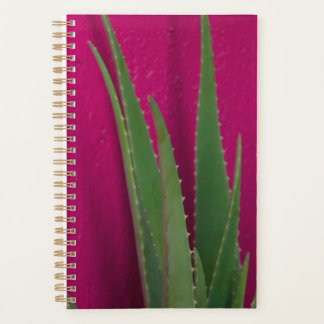 Pink Aloe - Fine Art - Aloe Vera against pink Planner
