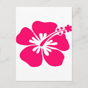 pink aloha flower postcard