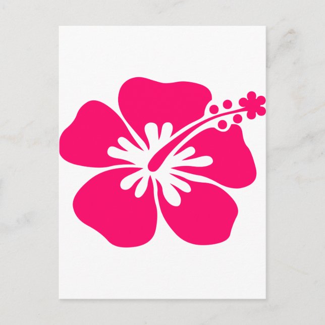 pink aloha flower postcard (Front)