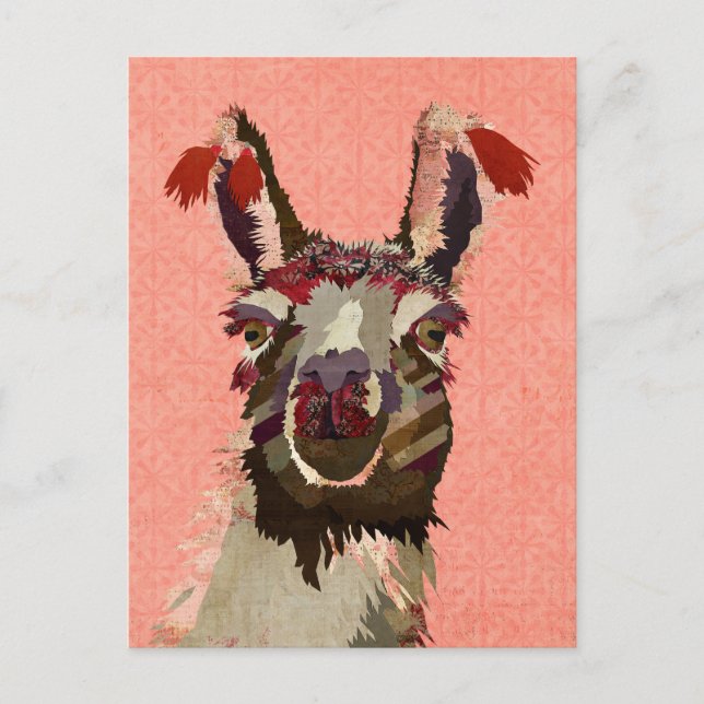 PINK ALPACA Postcard (Front)