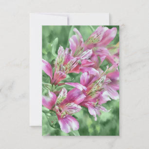 Pink Alstroemeria Flowers Floral Flat Note Card