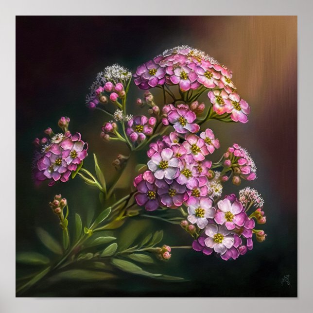 Pink Alyssum Flower Art Print Poster (Front)