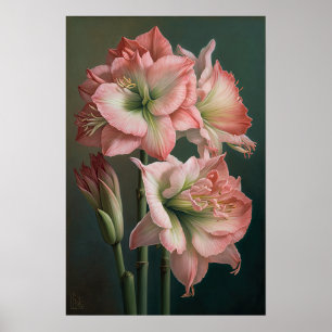 Pink Amaryllis Flower Art Print Poster