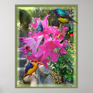 Pink- Amaryllis & Kingfisher Poster