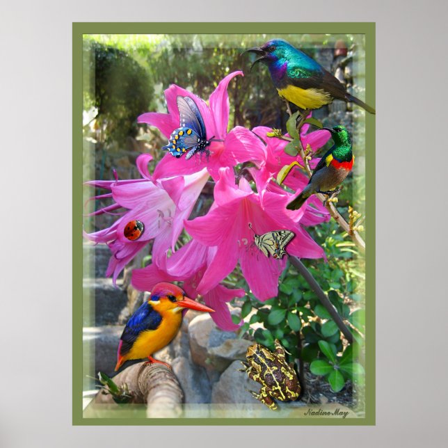 Pink- Amaryllis & Kingfisher Poster (Front)