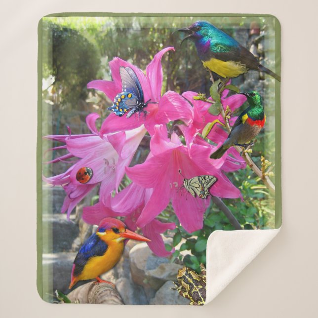 Pink- Amaryllis & Kingfisher Poster Sherpa Blanket (Front)