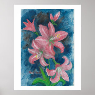 pink amaryllis Poster