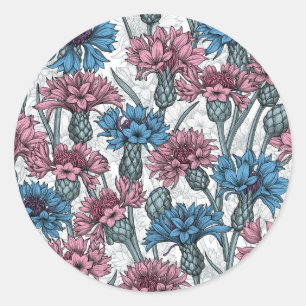 Pink and blue cornflowers, wild flowers on white classic round sticker
