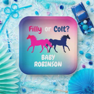 Pink and Blue Filly or Colt Gender Reveal Paper Plate