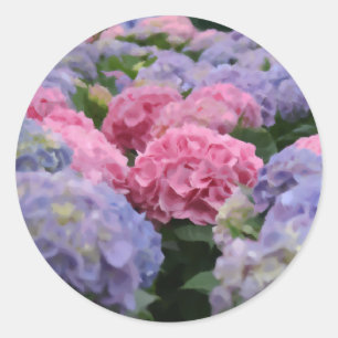 Pink and Blue Hydrangea Flower Field Painting Classic Round Sticker