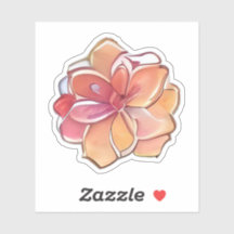 Pink and Cream Flower