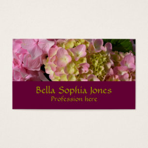 Pink and Cream Hydrangeas